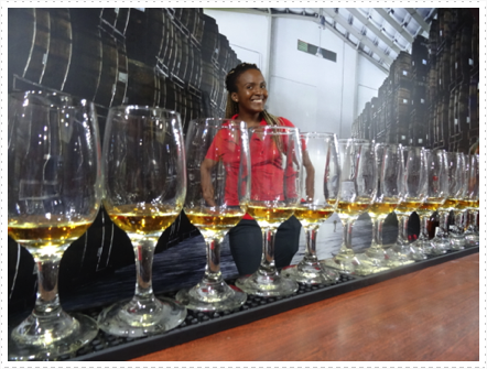 A rum tasting at the Mount Gay Distillery